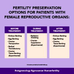 Fertility preservation options for patients with female reproductive organs.